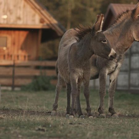 Tatarska Zagroda - Agroturystyka Dolina Baryczy Noclegi - Domek Jelonek Krosnice Экстерьер фото